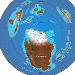 Ordovician Period Glaciation - V2